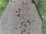 image of grave number 807185